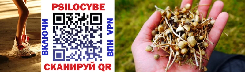 blacksprut маркетплейс  Черкесск  Псилоцибиновые грибы MAGIC MUSHROOMS 