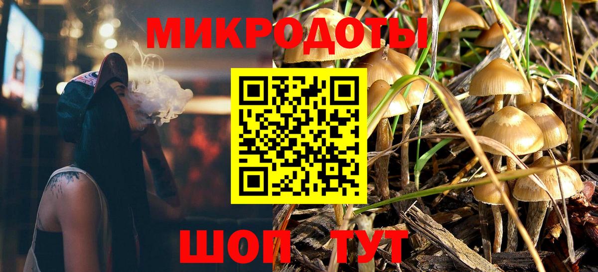 Псилоцибиновые грибы Psilocybe Черкесск