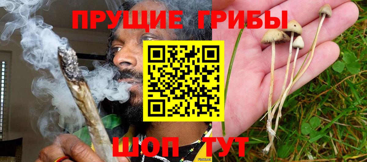 Галлюциногенные грибы Psilocybine cubensis  Галлюциногенные грибы мицелий  Черкесск  сколько стоит  Вход с VPN 
